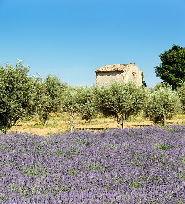 lisle-despagnac-agenda-provence